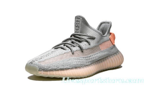 Adidas YEEZY Yeezy Boost 350 V2 Shoes True Form - EG7492 Sneaker MEN