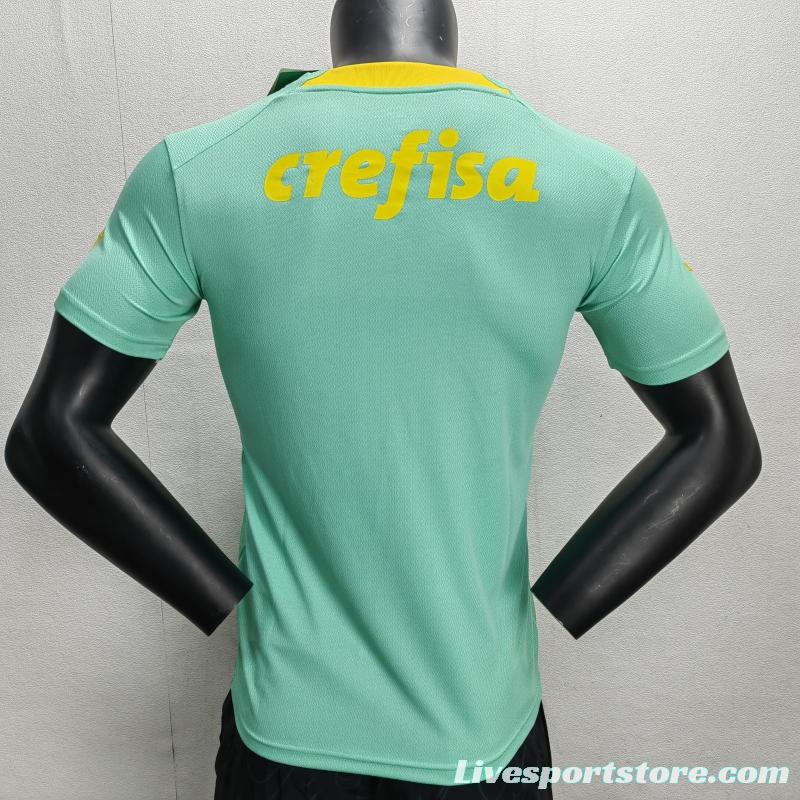 Fans Version 22/23 Palmeiras Green Special Jersey