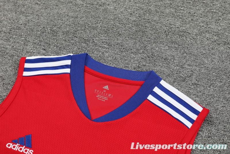 23-24 Bayern Munich Red/Blue Vest Jersey+Shorts